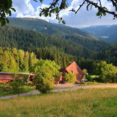 Hansjoergenhof Bioland-Hof Schiltach Exterior foto